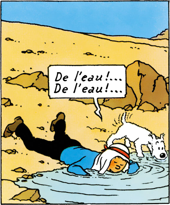Combien De Tintin Existe T Il Tintin au quotidien - 15 août. 2020