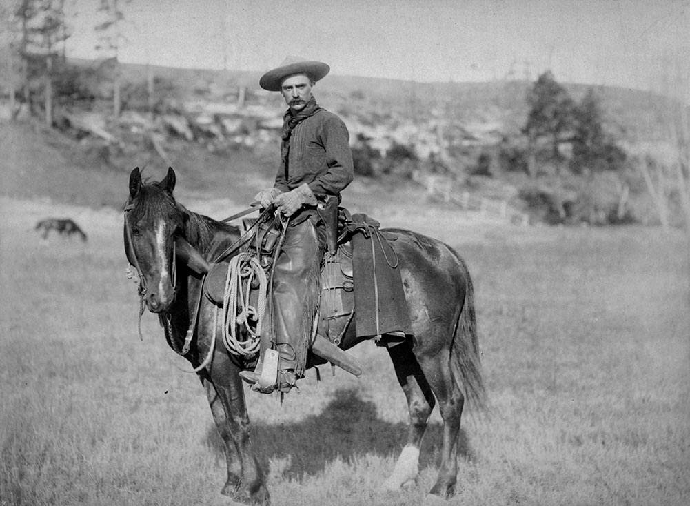 Cow Boy (1888)