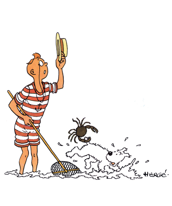 Tintin en vacances…