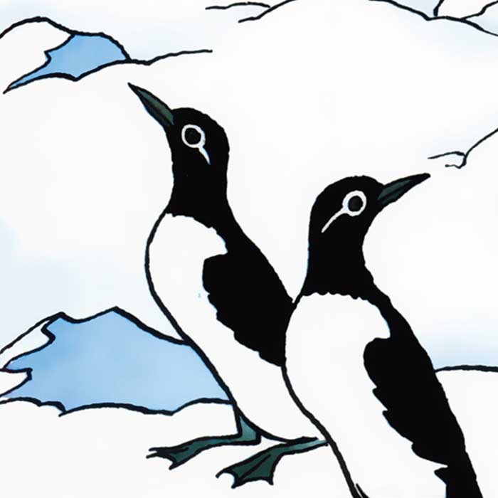 Quand les pingouins d’Hergé perdirent le Nord 