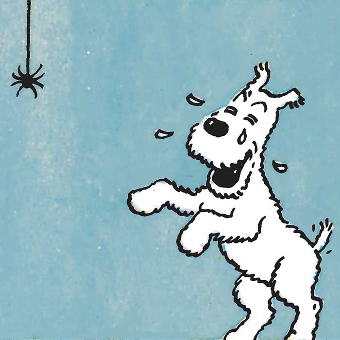 Small creatures, big impact