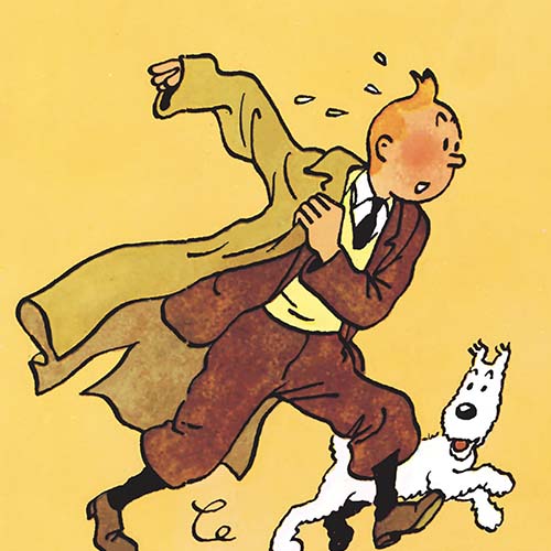 Tintin, le bien nommé 