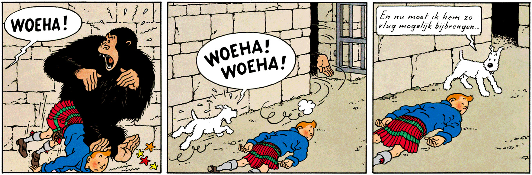 Le gorille Ranko assome Tintin et Milou lui fait peur dans l'ile noire