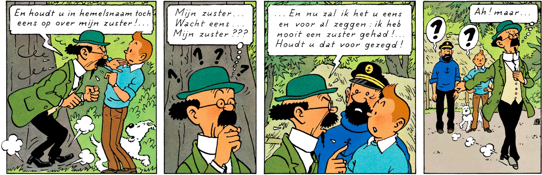Zonnebloem heeft geen zuster - Kuifje en de Picaro’s
