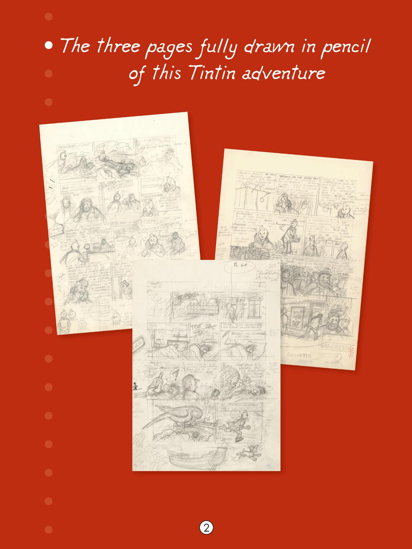 Tintin et l’Alph-Art - page 3